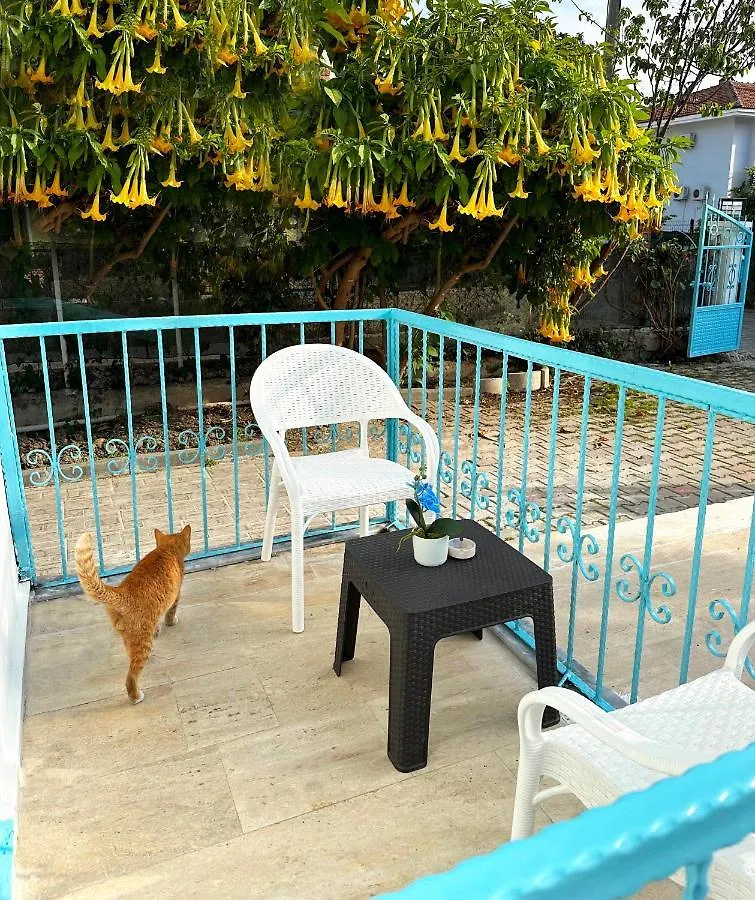 Enjoy Hotel Фетхие Отель типа 