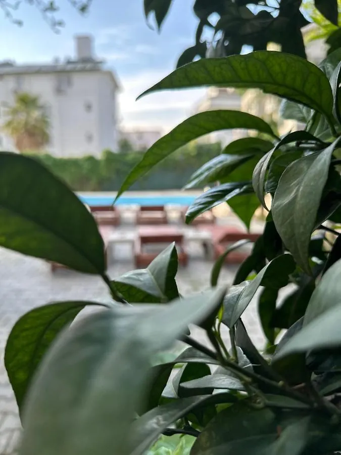 Enjoy Hotel Фетхие Отель типа 